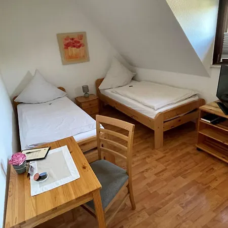 Zum Seeweiher Lejlighedshotel Dreifelden