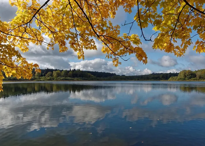 Apart-hotel Zum Seeweiher 3*