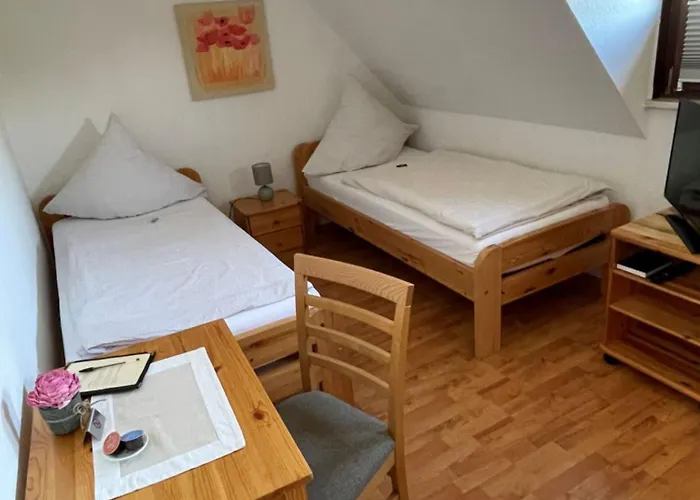 Zum Seeweiher Apart-hotel Dreifelden